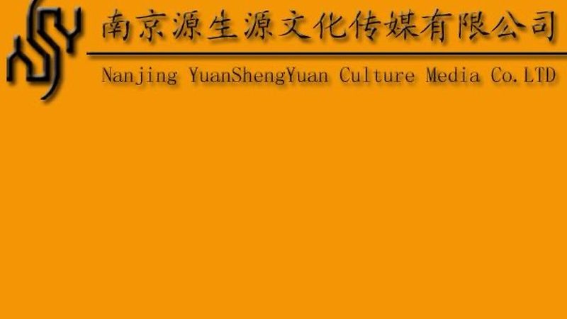 VI设计效果图：揭秘其优缺点，助你精准选择